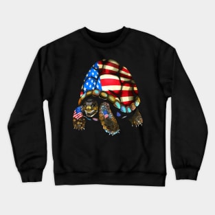 Patriotic Tortoise Crewneck Sweatshirt